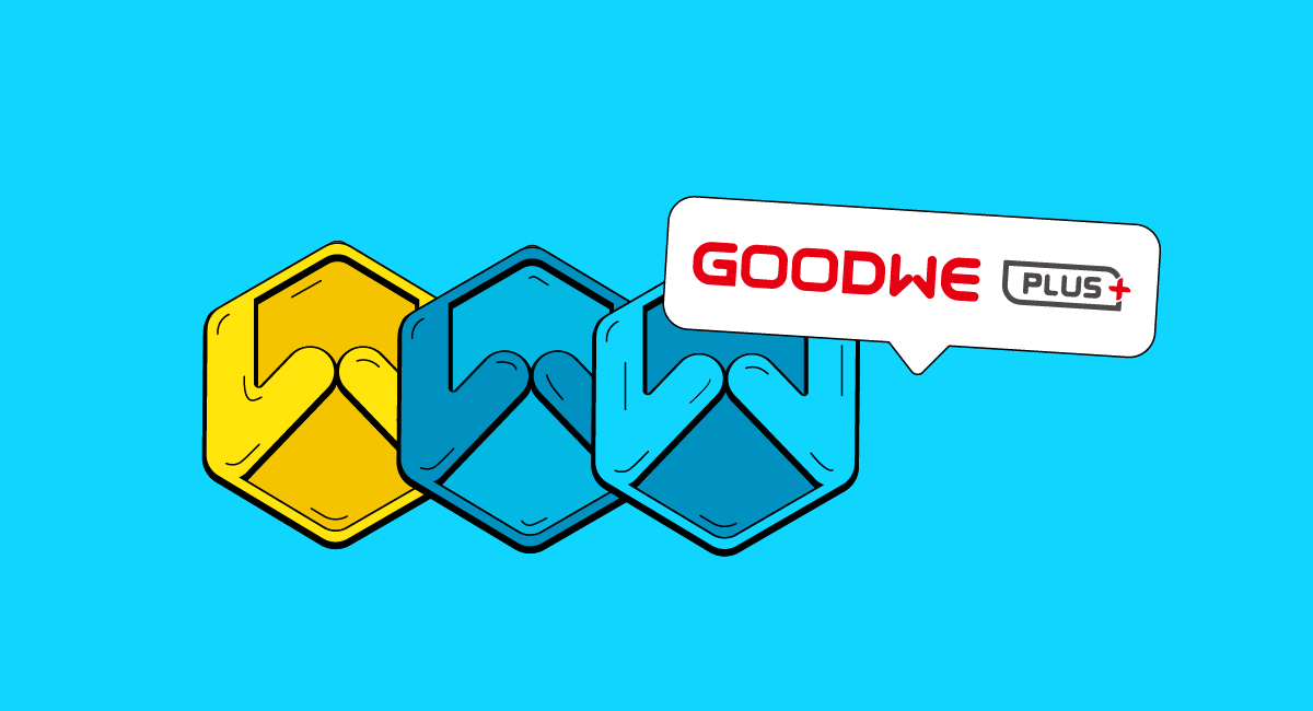 Corso GoodWe Plus - formazione - Memodo Corso GoodWe Plus - formazione - Memodo