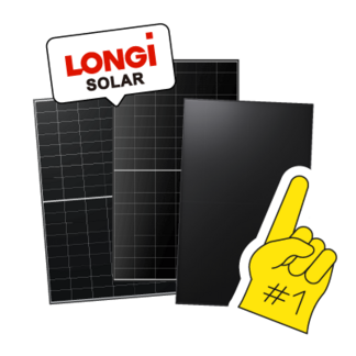 longi-one longi-one
