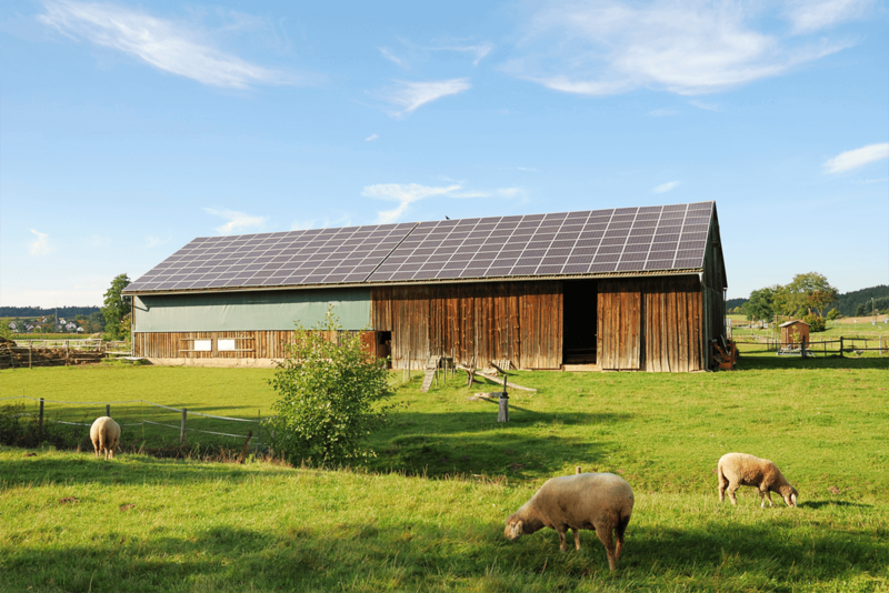 Parco Agrisolare fondo perduto - foto azienda agricola